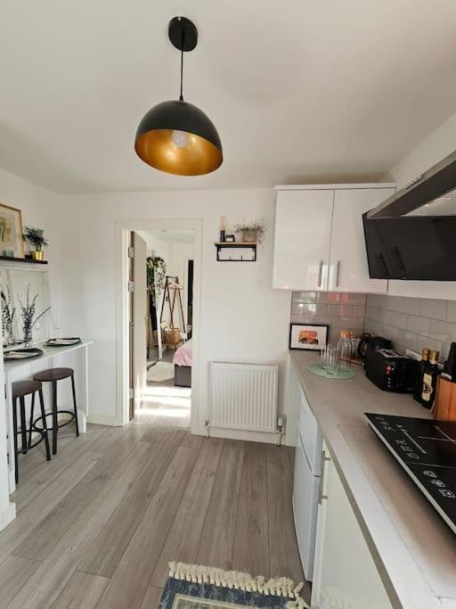 Stylish Putney Village Flat Londyn Zewnętrze zdjęcie